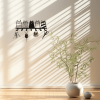 CIFbuy Cat Themed 7-Hook Decor Rack Modern Key Coat Storage Hanger (TikTok, temu pick-up service)