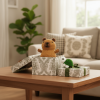 Handmade woven capybara gift box set, perfect for desk decoration, backpack charm, and suitable as a gift for elderly people, friends