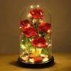 Valentines Day Gifts for Her,Valentines Decor Beauty and The Beast Rose Flowers with 40 LED Lights Rose in Glass Dome