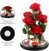 Valentines Day Gifts for Her,Valentines Decor Beauty and The Beast Rose Flowers with 40 LED Lights Rose in Glass Dome